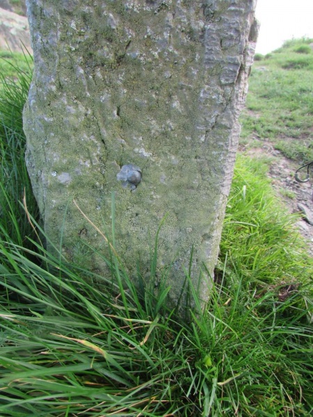 File:Tp07815 brant fell wm.jpg