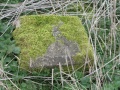 Thumbnail for version as of 10:12, 5 July 2024